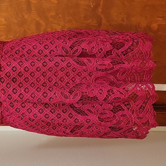 FREE PEOPLE One Million Lace Lover V-neck Dress in Burgandy - size 6 - Picture 5 of 16